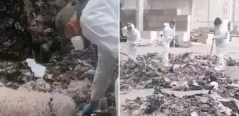 Yeni doğan bebeğini parçalayıp çöpe atan anne tutuklandı