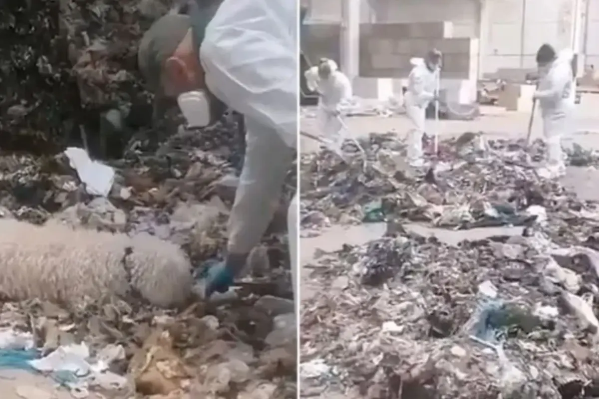 Yeni doğan bebeğini parçalayıp çöpe atan anne tutuklandı