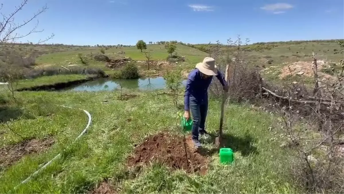 25 Yıldır Fidan Diken Sağlık Memuru Gelecek Nesillere Yeşil Miras Bırakıyor