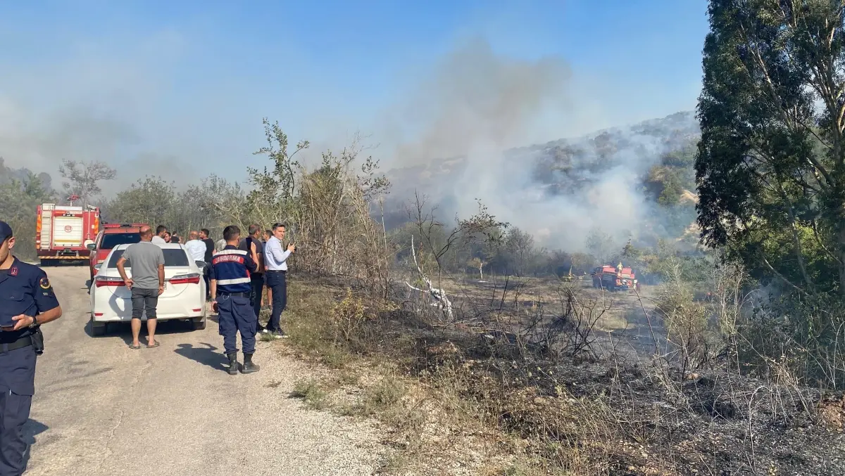 Adana Ceyhan'da Orman Yangını Çıktı