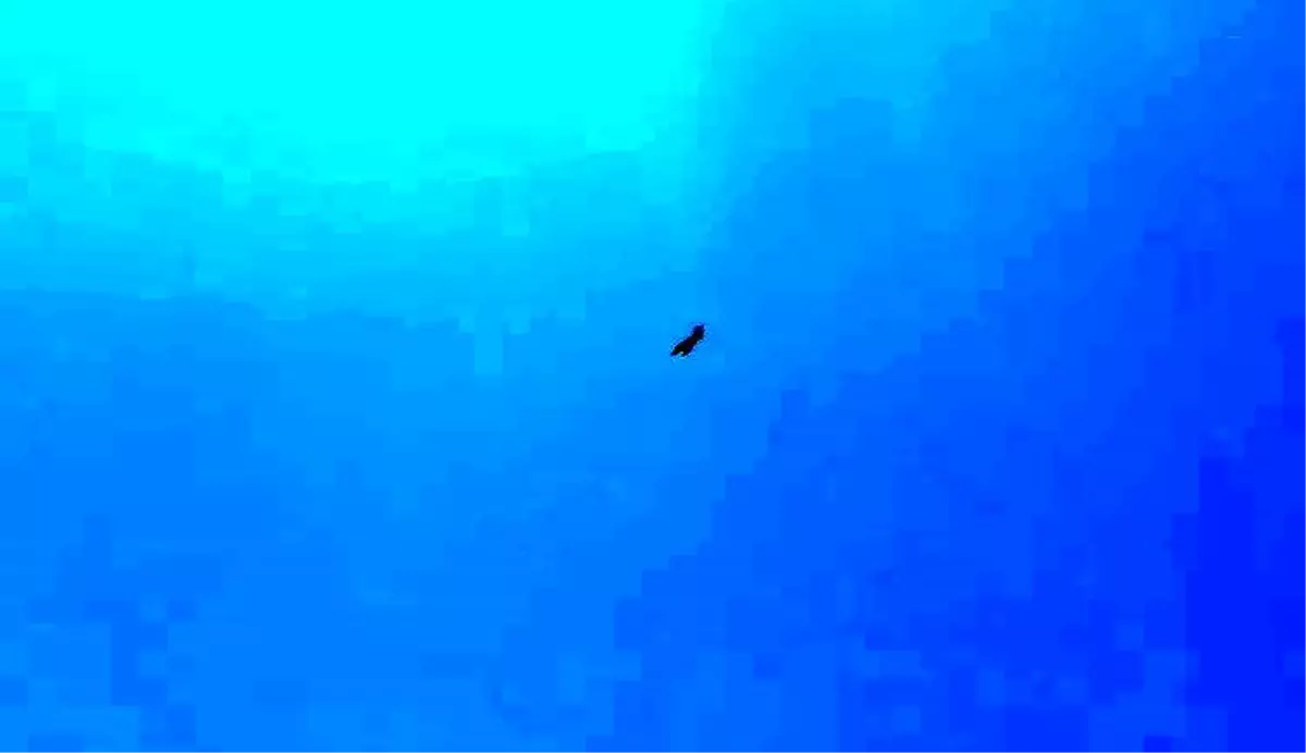 Adıyaman'da F-16 Heyecanı: Anadolu Kartalları Tatbikatı Gerçekleşti