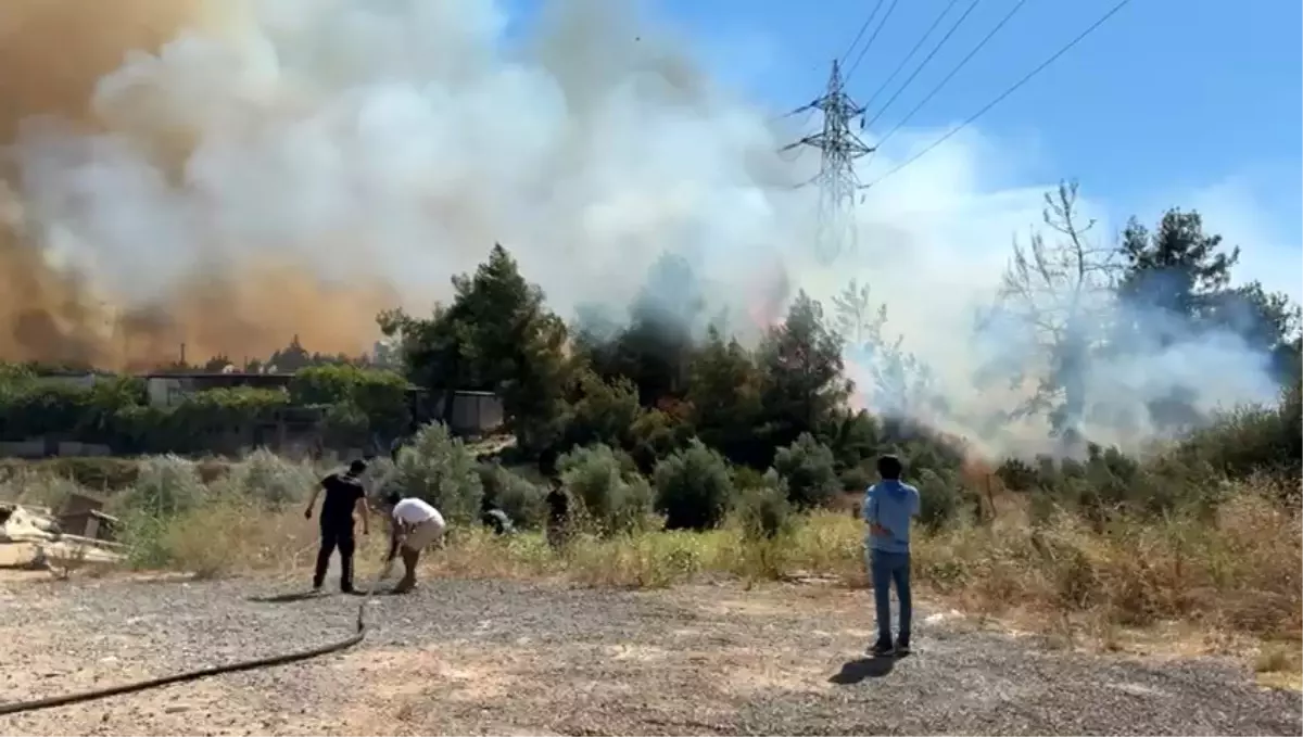 Antalya Aksu'da Çalılık Yangını Ormana Sıçradı