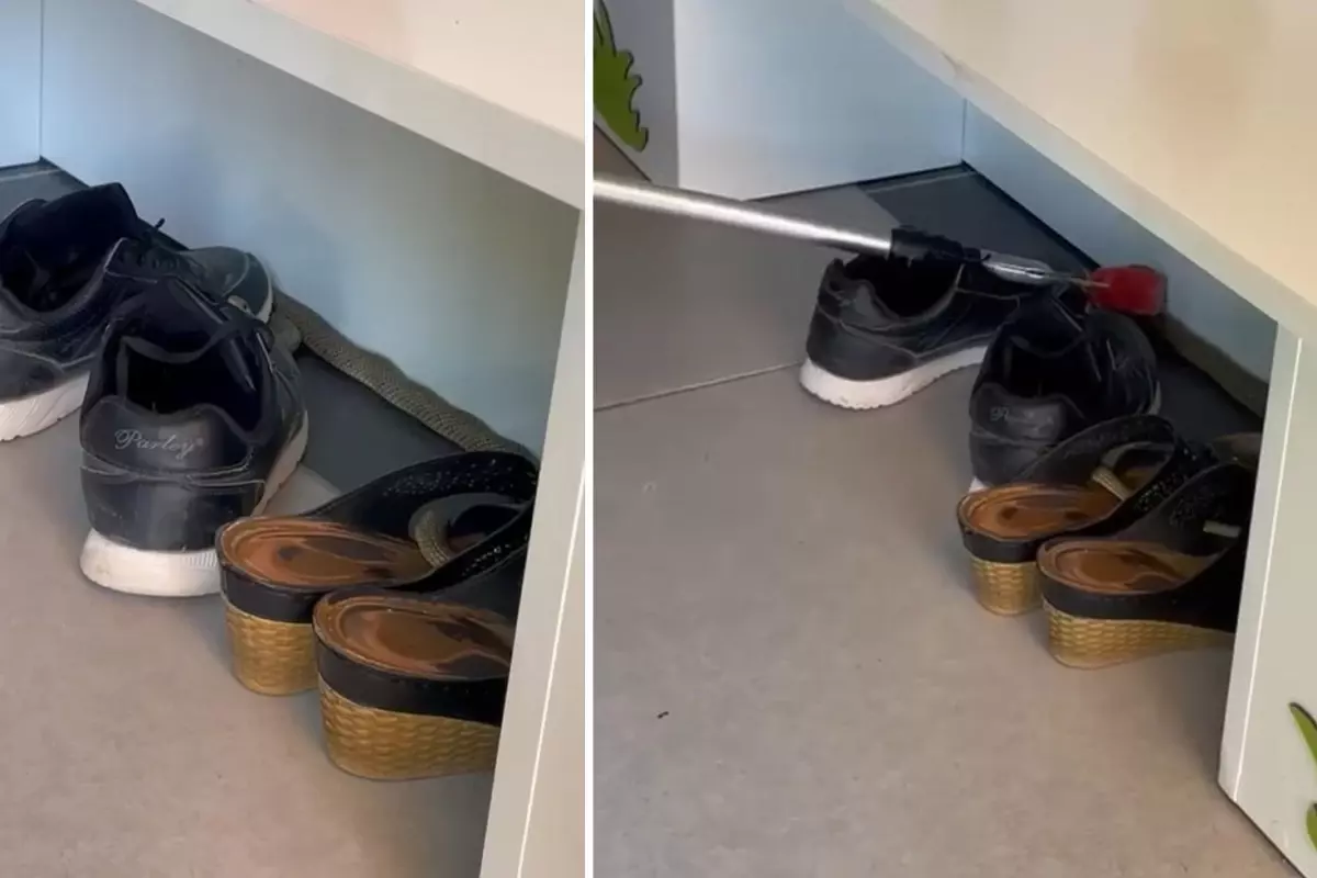 Ayakkabılıktan çıkan yılan paniğe neden oldu