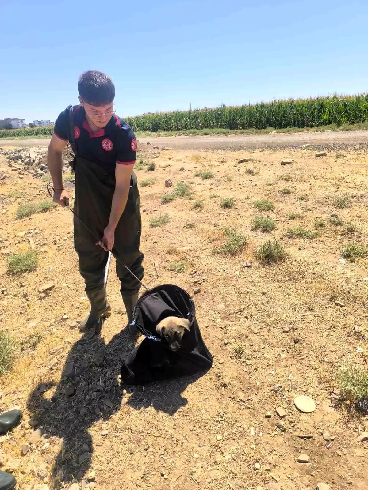 Batman'da Su Kanalına Düşen Yavru Köpek Kurtarıldı