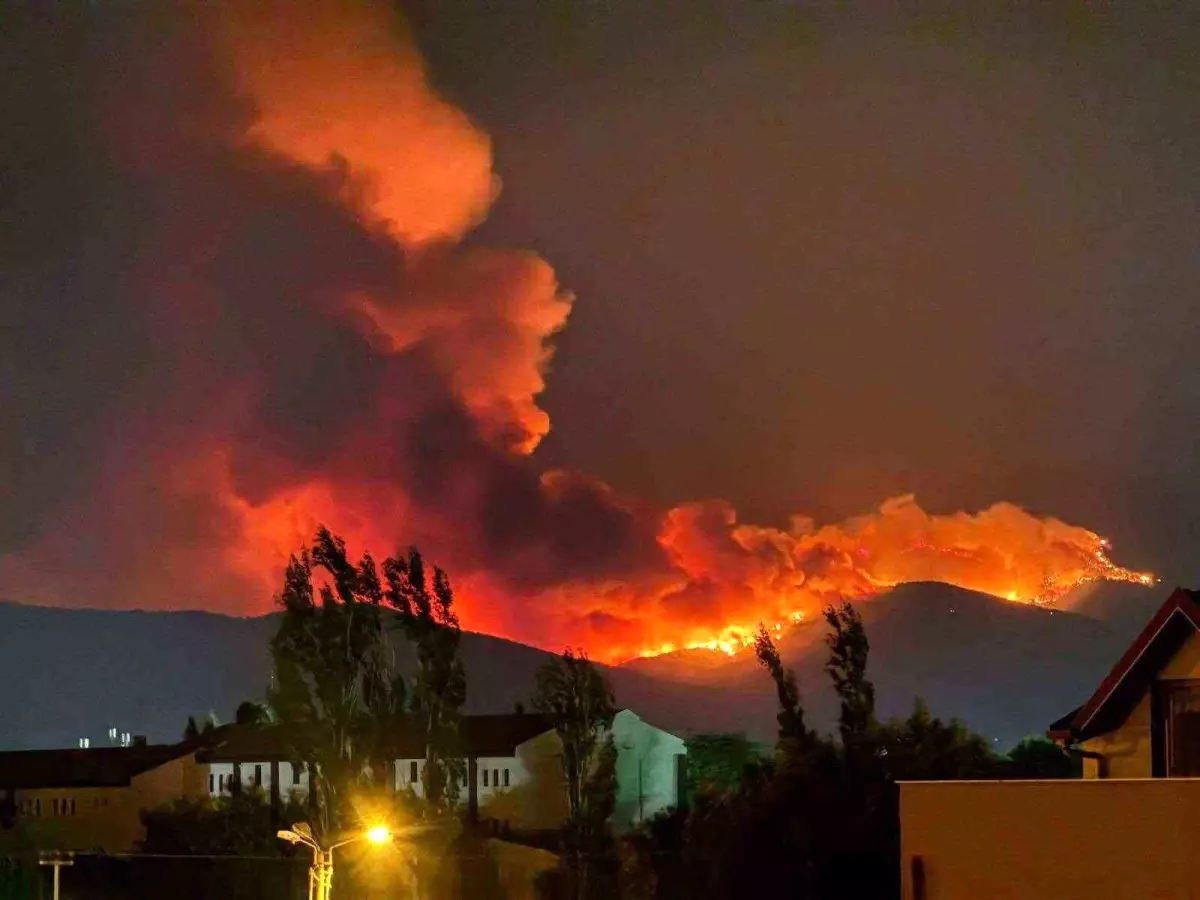 Çeşme'den Sonra Ödemiş'te Yangın: 3 Mahalle Tahliye Edildi