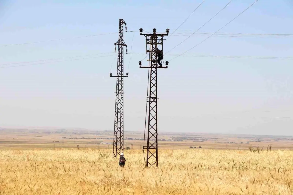 Dicle Elektrik, Mardin'de Borç Süreci Nedeniyle Enerji Vermeyi Durduruyor
