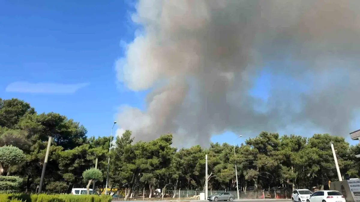 İzmir Buca'da Orman Yangını: Havadan ve Karadan Müdahale Devam Ediyor