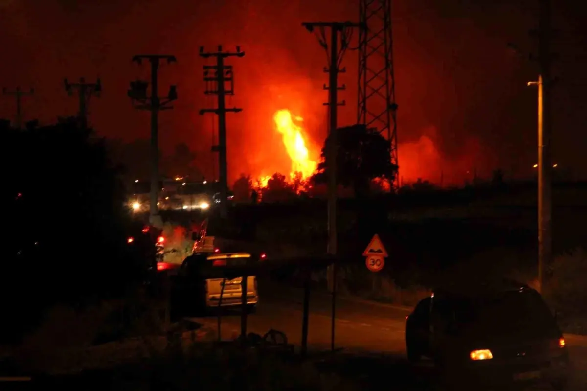 �zmir'de bir yang�n daha Kaynaklar yaniyor