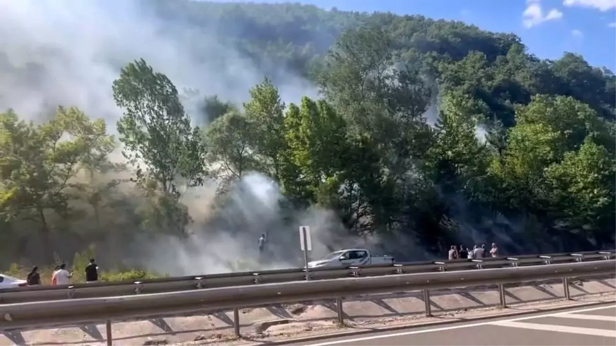 Bursa'nın İnegöl ilçesinde orman yangını devam ediyor