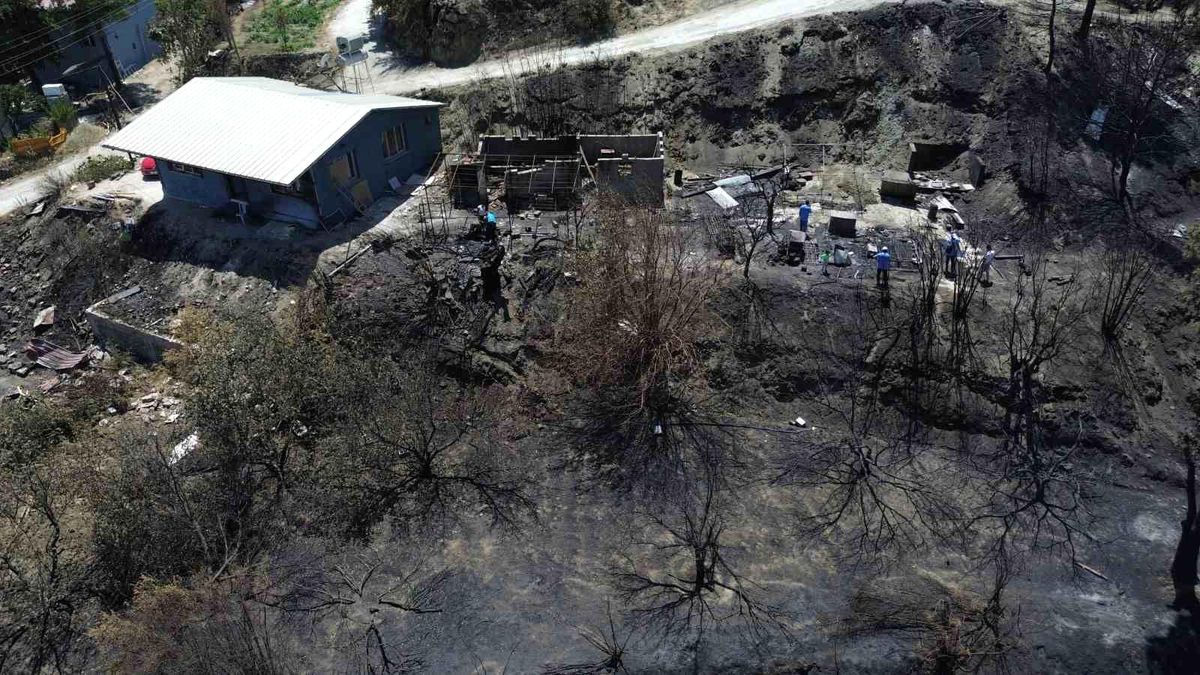 Deprem ve Orman Yangını: Yeniden Yıkım Yaşayan Ailenin Acısı