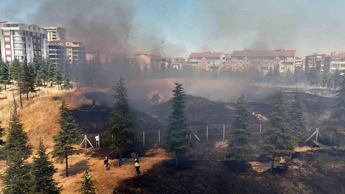 Edirne'de Tarihi Kavgaz Tabya'da Yangın Çıktı