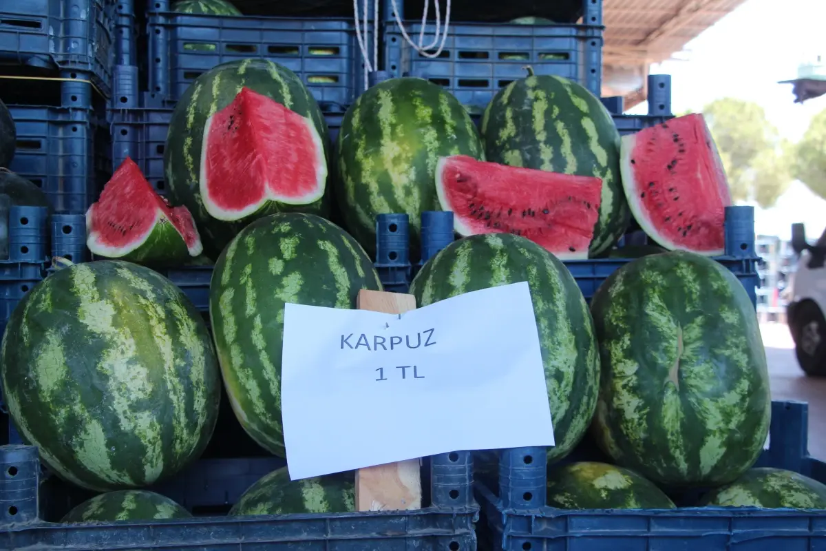 Adana'da Karpuz Fiyatları Düşüşte: Halde 1 TL, Marketlerde 14 TL