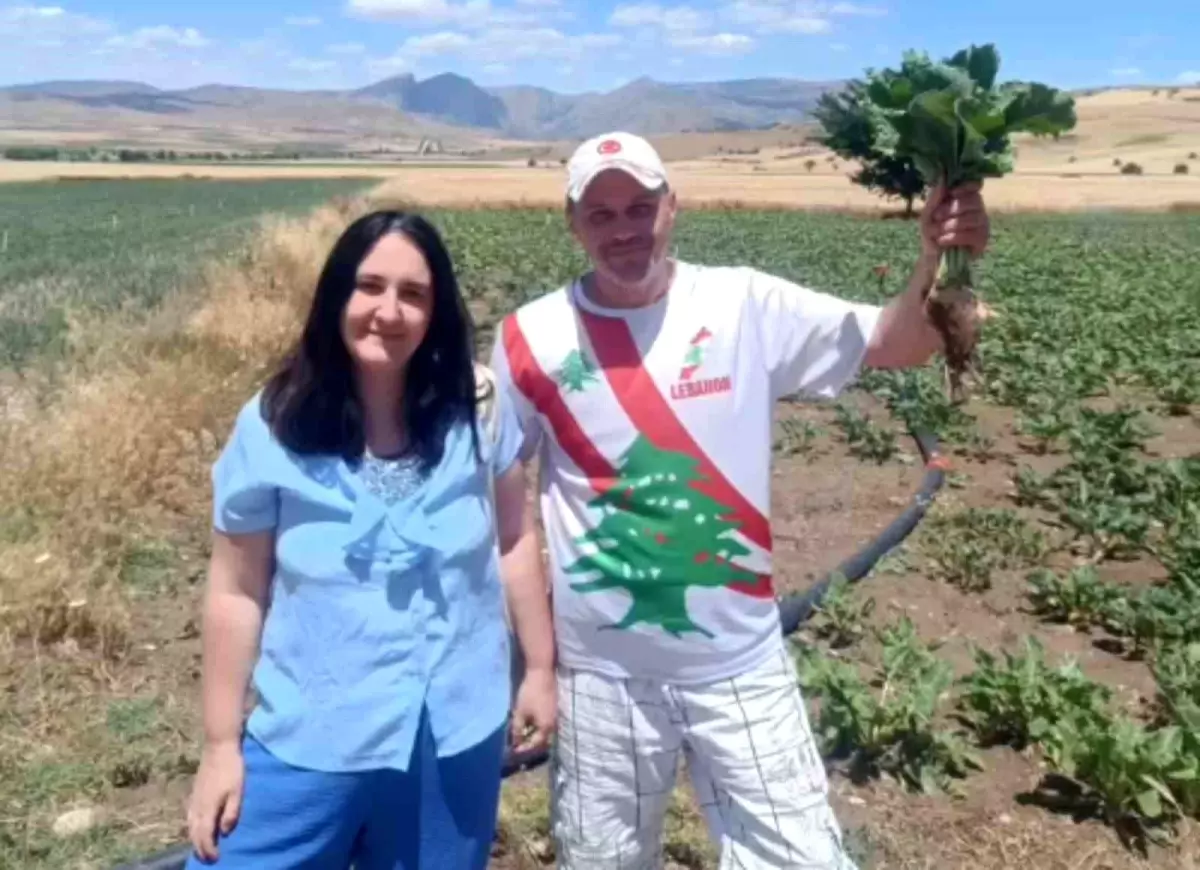 Bulgar Turistler Yozgat'ta Şeker Pancarıyla Tanıştı