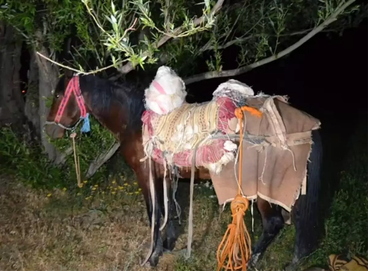 Van'da Katırla Uyuşturucu Operasyonu: 97 Kilogram Skunk Ele Geçirildi