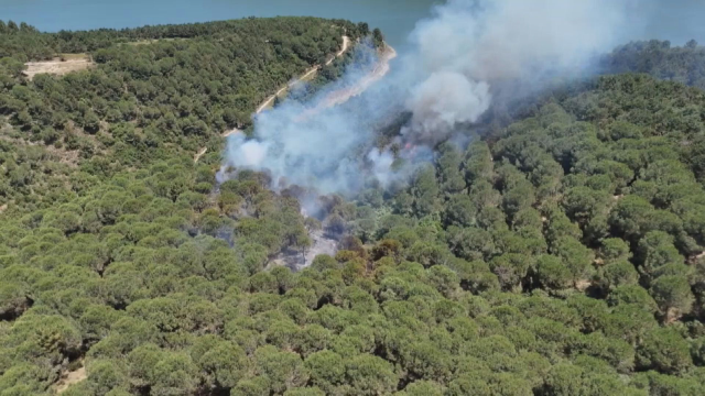 Fire in the city forest of Istanbul
