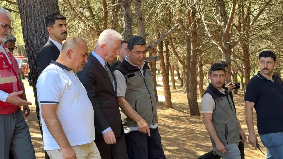 Sultangazi Kent Ormanı'ndaki Yangın Kontrol Altına Alındı
