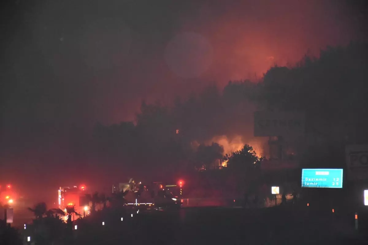 İzmir'de Orman Yangını Otoyolu Kapattı
