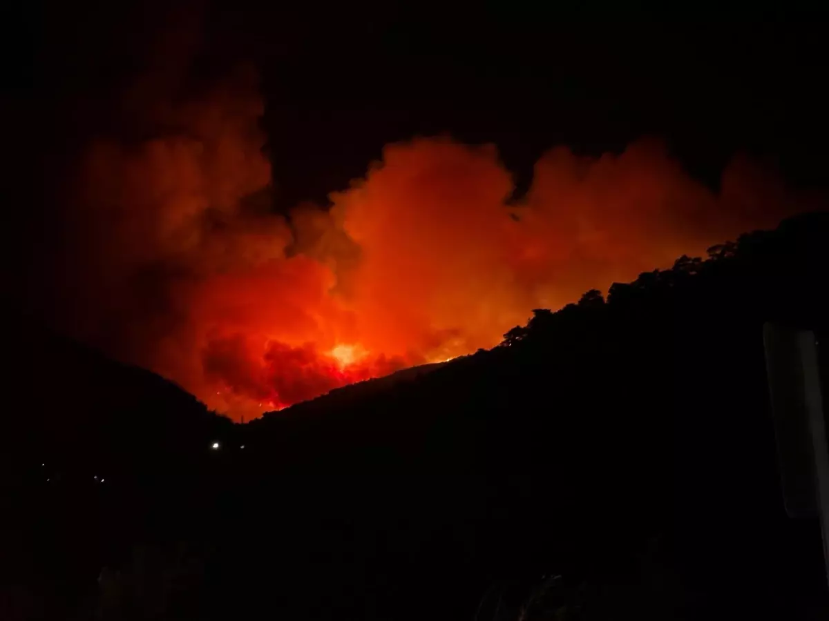 Ödemiş'te Orman Yangını Çıktı