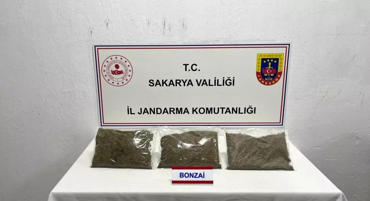 Sakarya'da Uyuşturucu Operasyonu: 64 Yaşındaki Şüpheli Tutuklandı