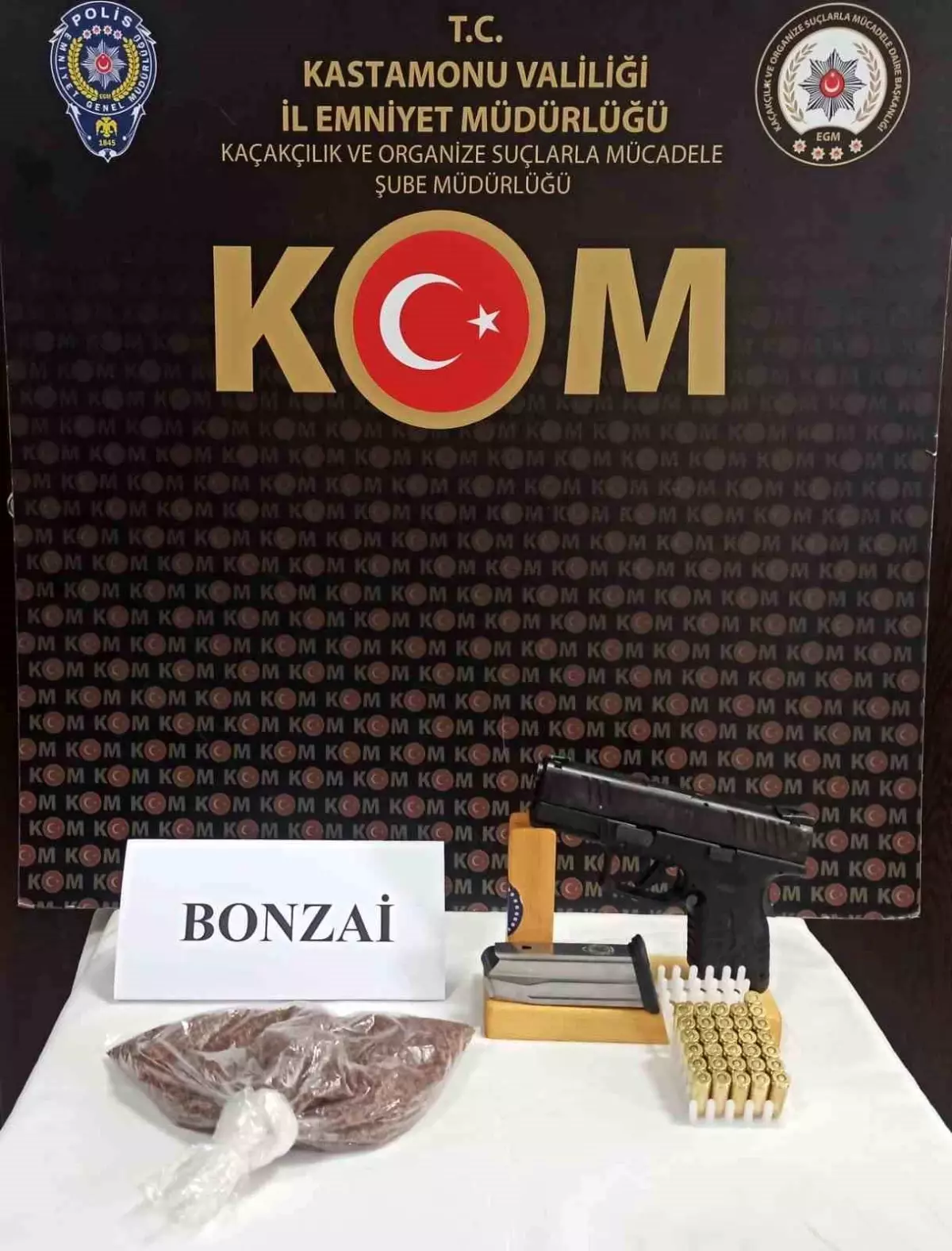 Kastamonu'da Uyuşturucu Operasyonu: 1 Gözaltı