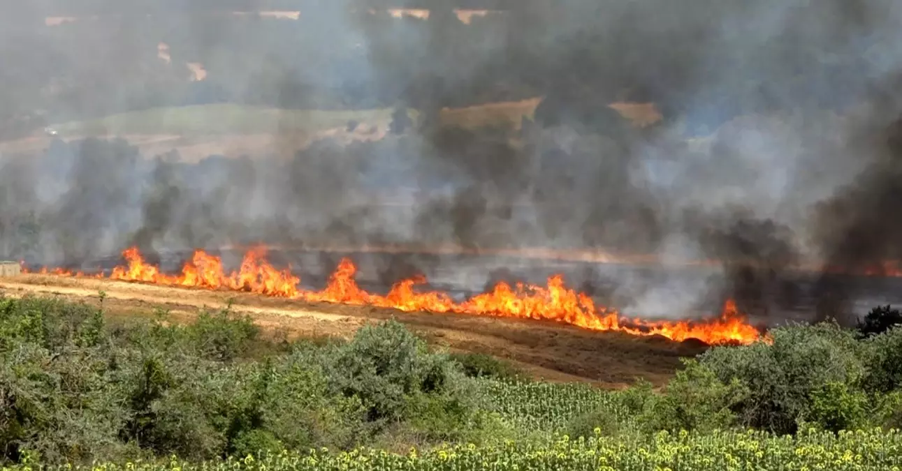 Kırklareli'nde Yangın: 500 Dekar Alan Zarar Gördü