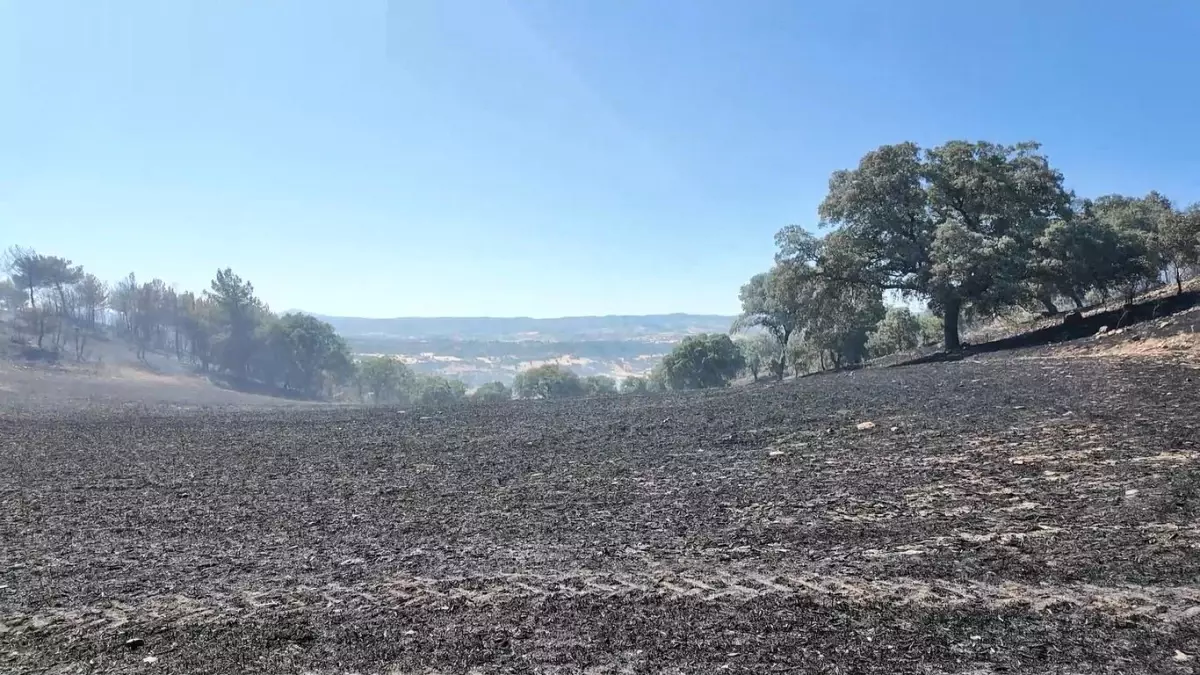 Kütahya'da Orman Yangını 11 Saatte Kontrol Altına Alındı
