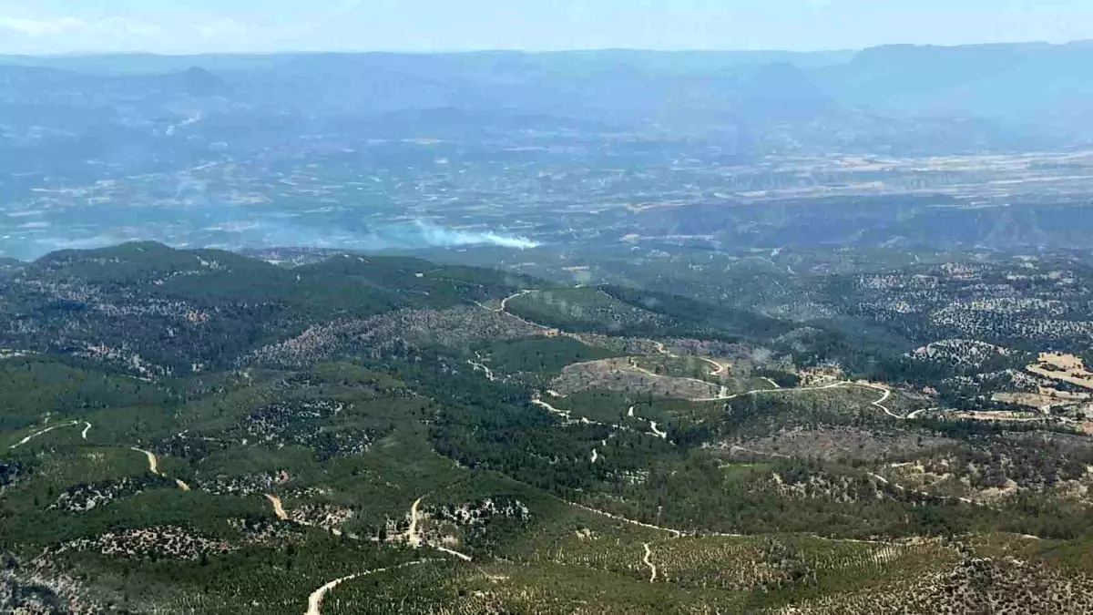 Mersin'de Orman Yangınları: Ekipler Müdahalede Bulundu