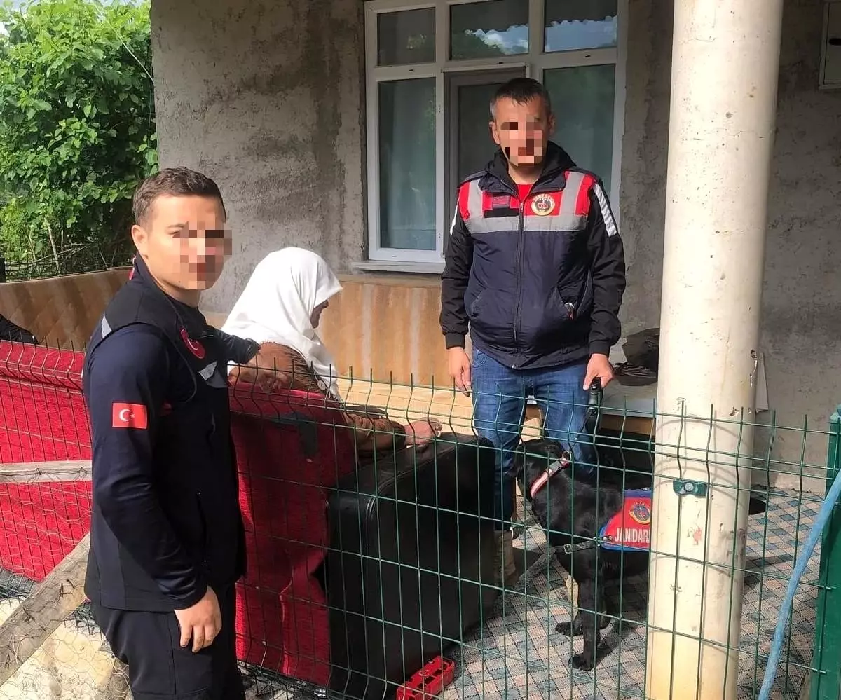 Kayıp Kadın Ordu'da Sağ Olarak Bulundu
