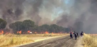 Silivri'de alevler kontrol altına alındı! 50 hane tahliye edildi