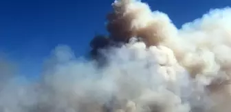 Silivri'de orman yangını! Alevlere müdahale devam ediyor