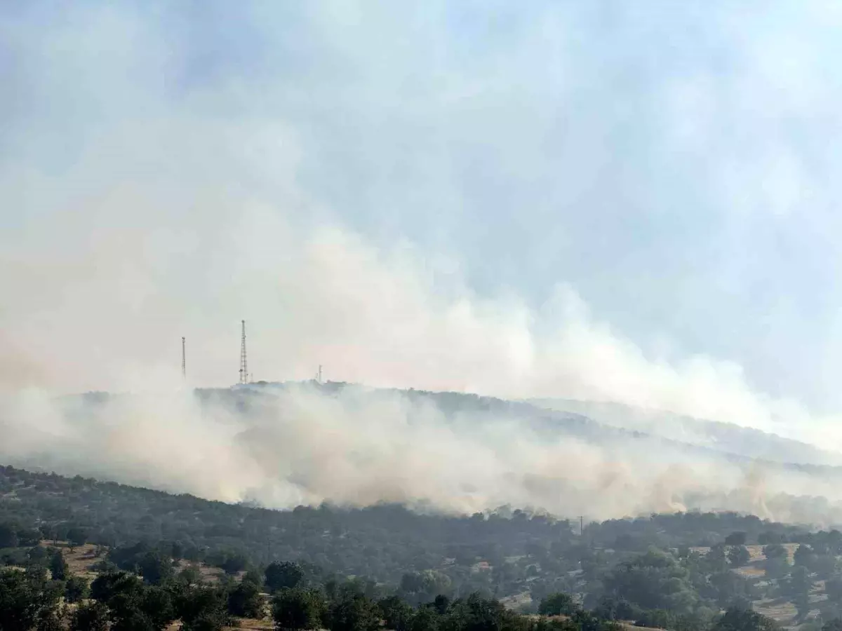 Uşak'taki Yangına Müdahale Devam Ediyor