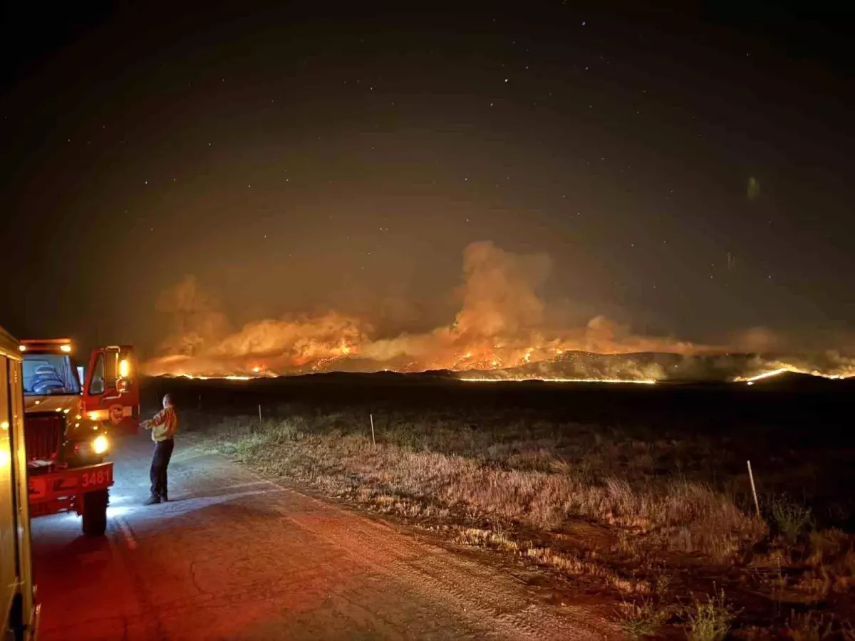 California'da Orman Yangını 52 Bin Dönümü Küle Çevirdi