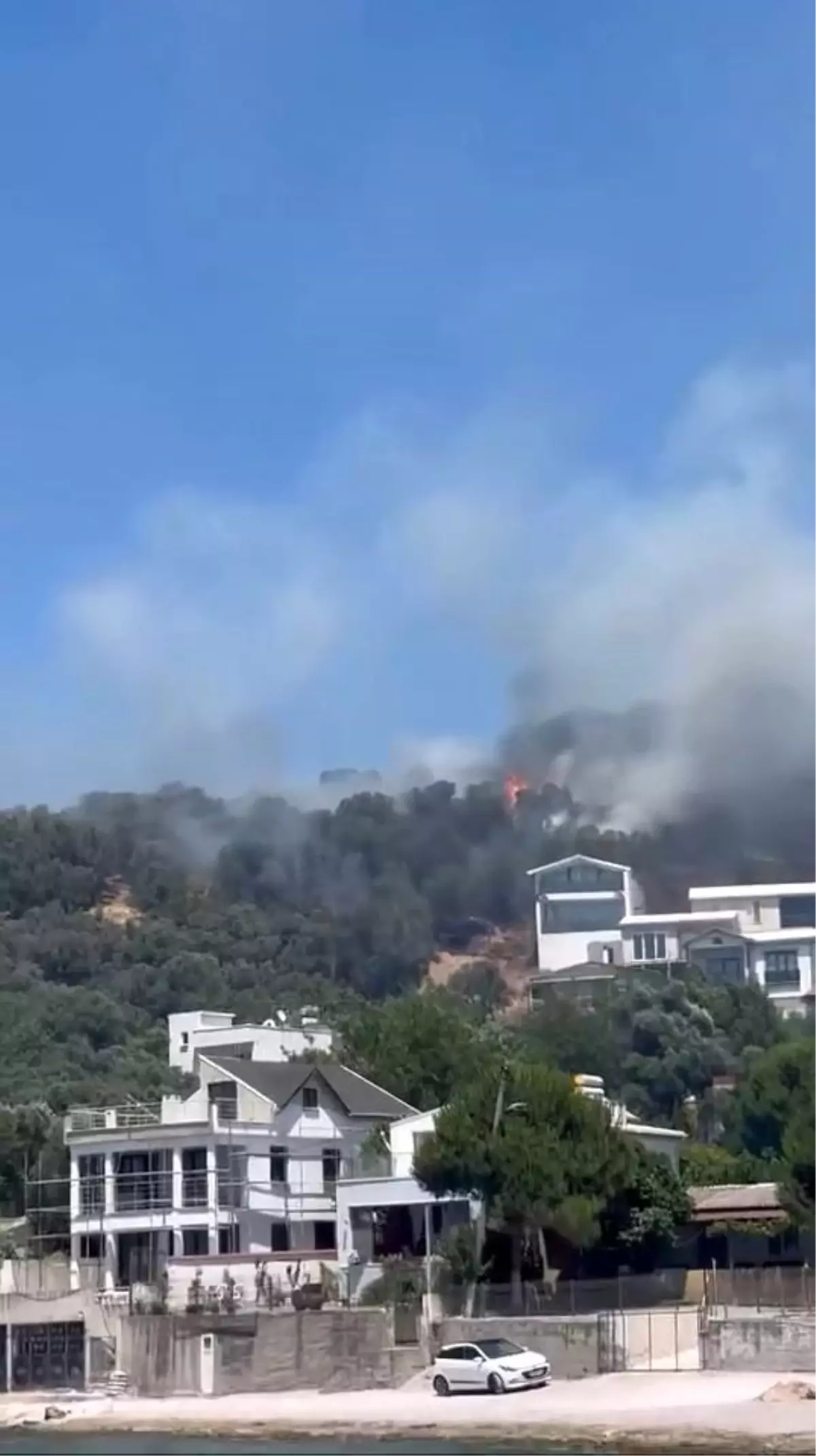 Mudanya'da Orman Yangını Paniğe Neden Oldu