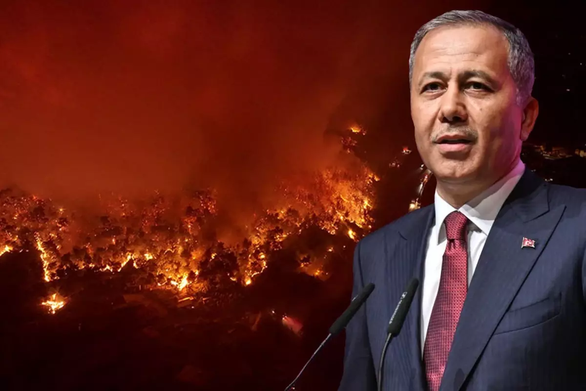 Bakan Yerlikaya: 65 orman yangınıyla ilgili 44 kişi gözaltına alındı, 10 kişi tutuklandı