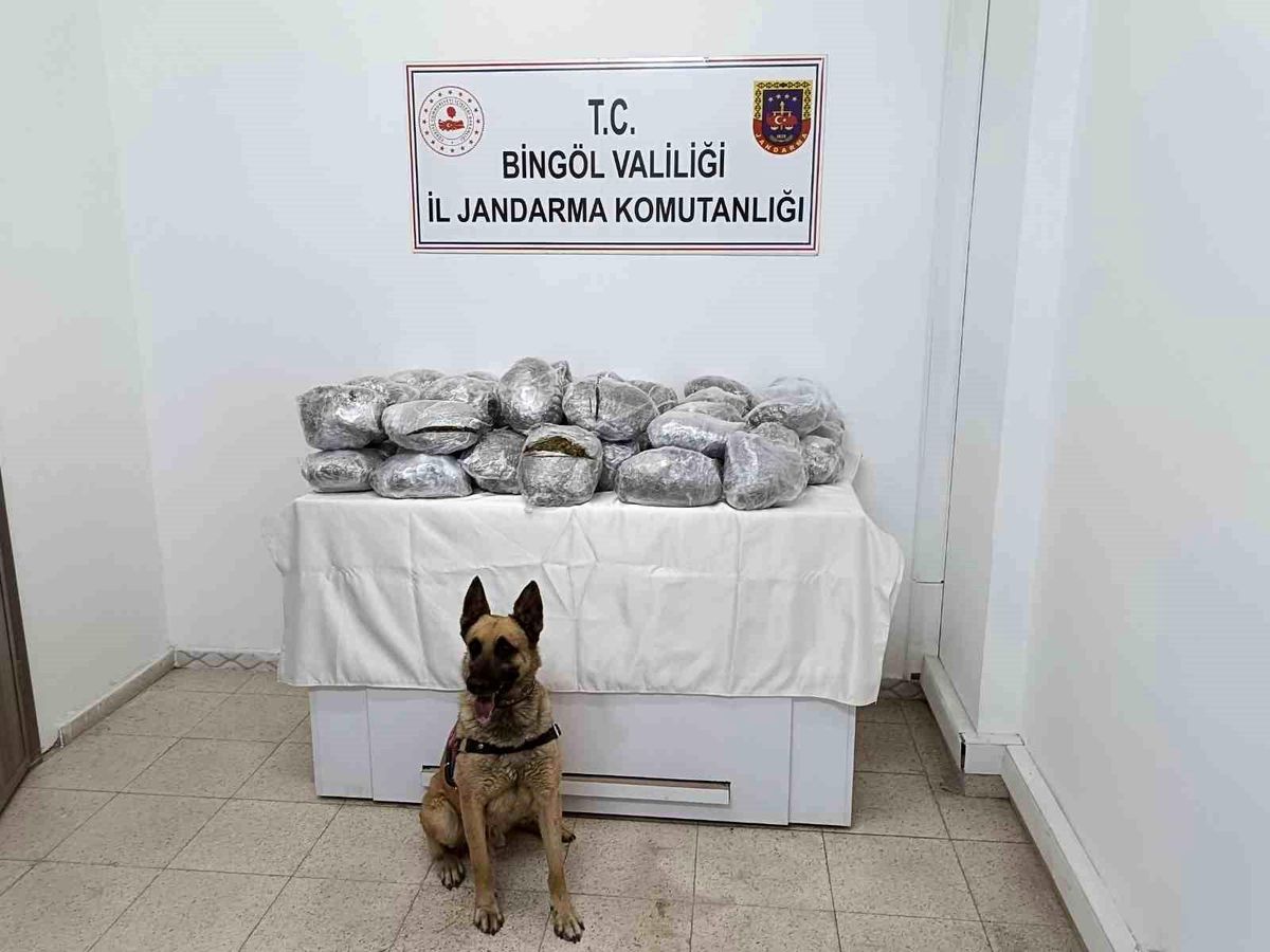 Bingöl'de Uyuşturucu Operasyonu: 49 Kilo Kubar Esrar Ele Geçirildi