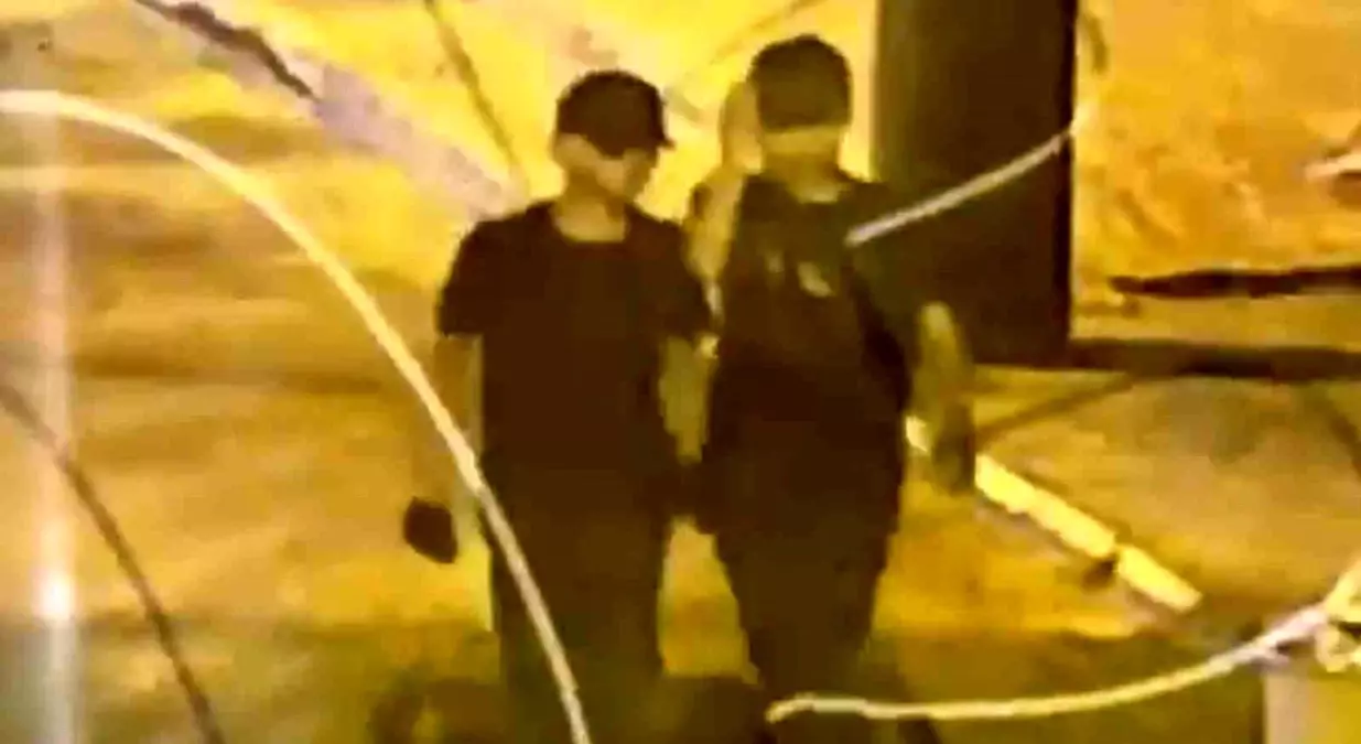 Bingöl'de Hırsızlık Şüphelileri Yakalandı
