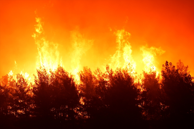 The teams in Buca were caught between the flames: If we are to die, we will die together