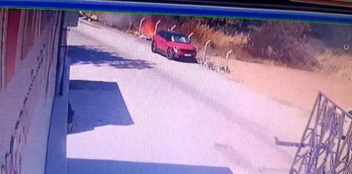 İzmir'de Orman Yangınına Kaçak İnşaat Sebep Oldu