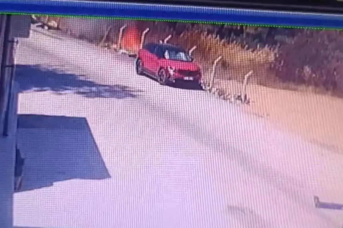 Buca'daki orman yangınının çıkış anı görüntüsü ortaya çıktı