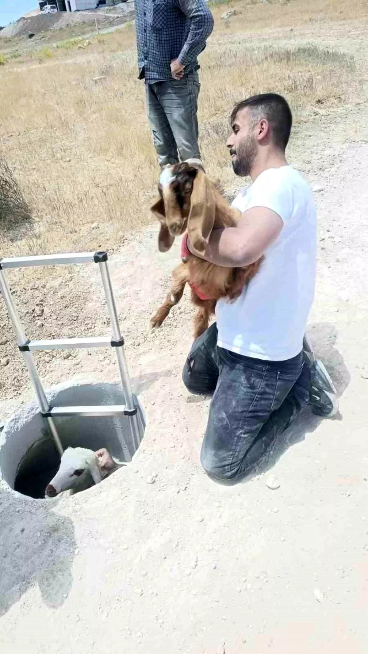 Baskil'de Kuyuya Düşen Keçi ve Koyunlar Kurtarıldı