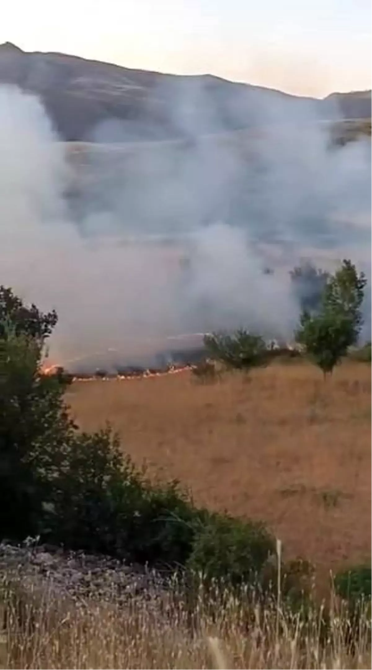 Elazığ'da Otluk Alanda Yangın Kontrol Altına Alındı