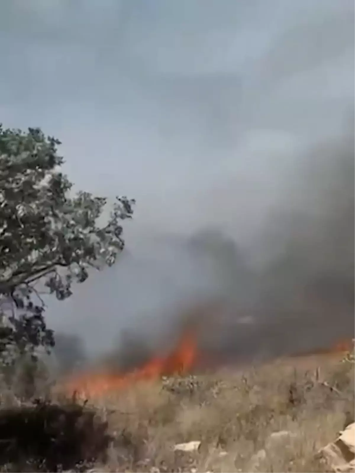 Şırnak'ta Gabar Dağı'nda Orman Yangını