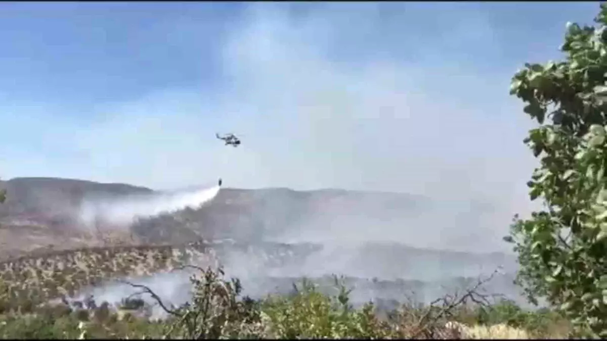 Şırnak'ta Gabar Dağı'nda Orman Yangını