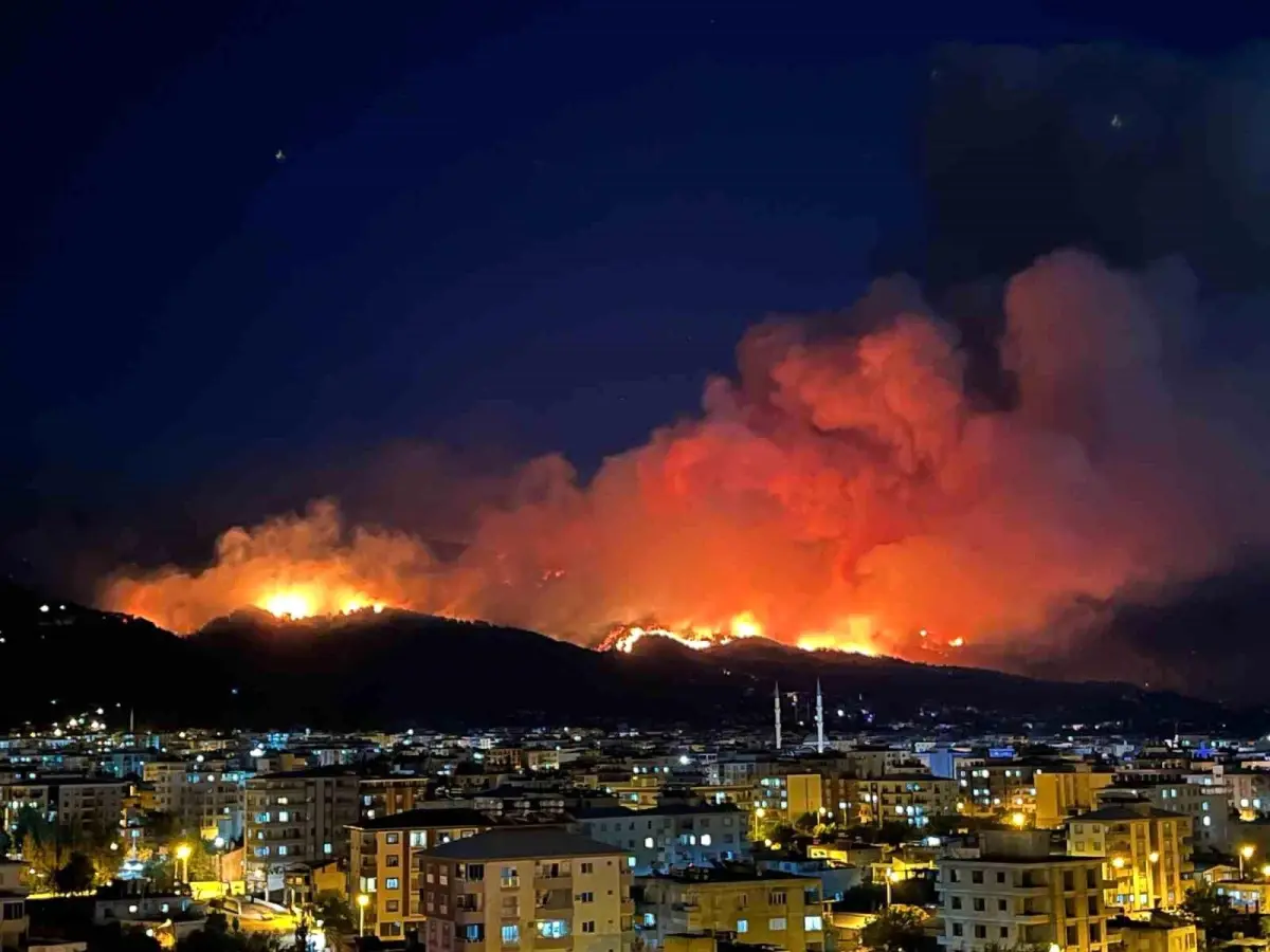 Hatay'da Orman Yangını: Ekipler Seferber Oldu