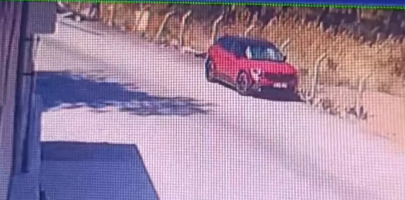 İzmir'de Orman Yangınına Neden Olan 5 Kişi Gözaltında