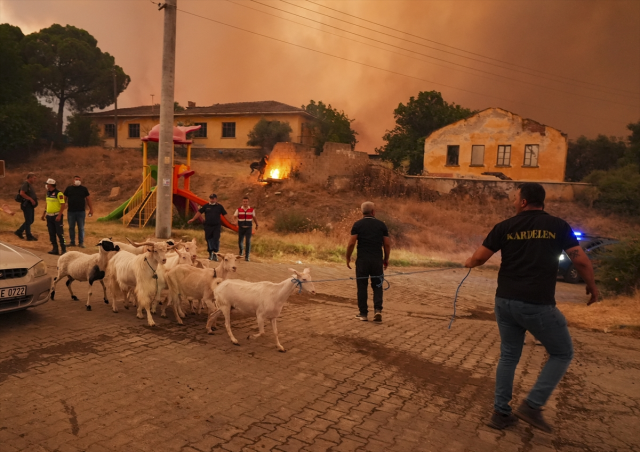 Fires in İzmir Continue at 3 Points
