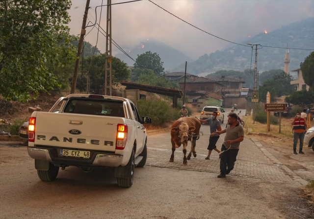Fires in İzmir Continue at 3 Points