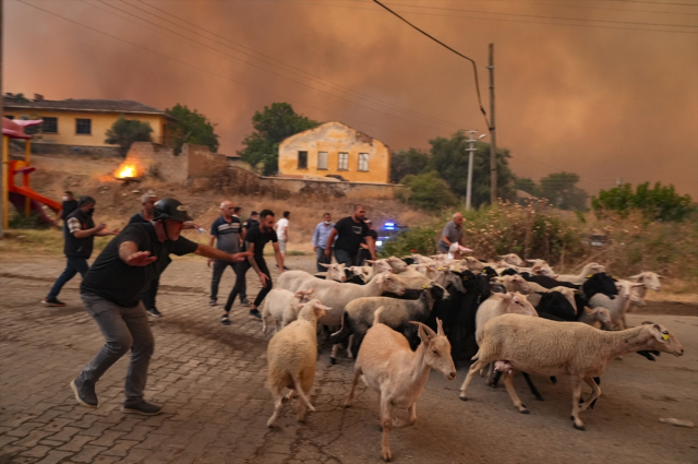 Fires in İzmir Continue at 3 Points