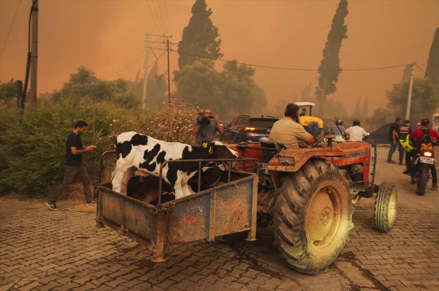 Fires in İzmir Continue at 3 Points