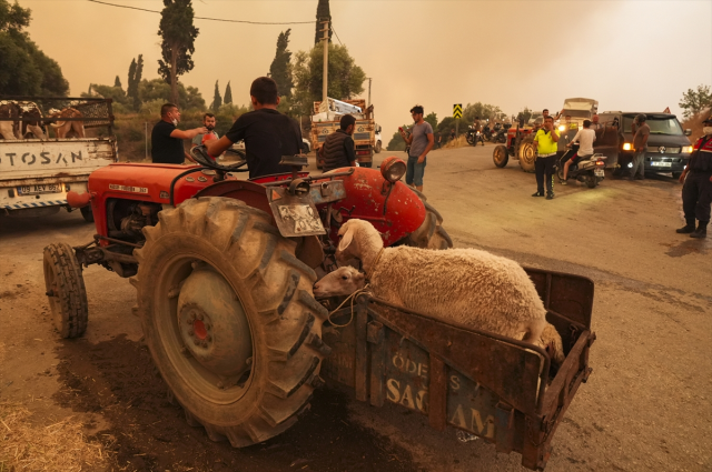 Fires in İzmir Continue at 3 Points